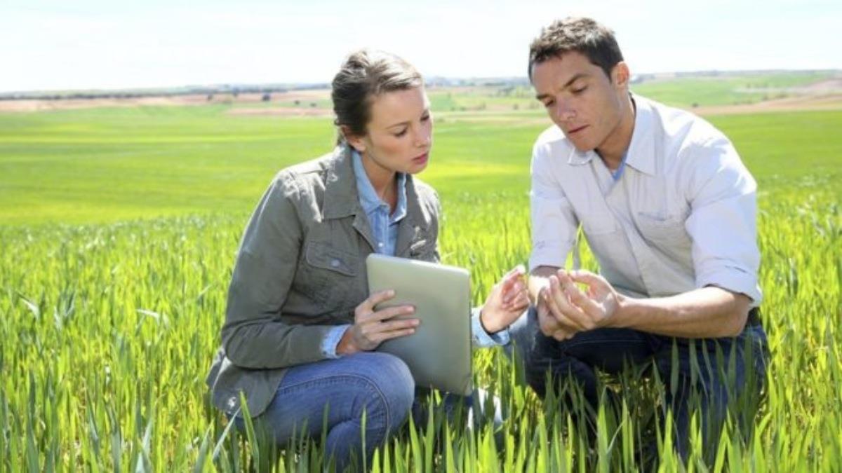 Ingeniería Agroindustrial: ¿en qué universidad estudiarla?